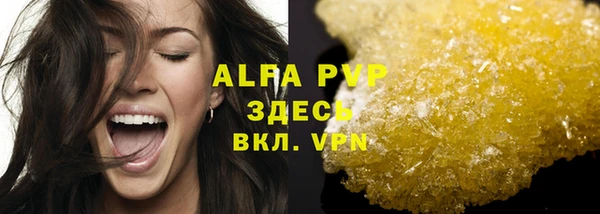 PSILOCYBIN Дмитриев