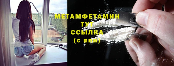 PSILOCYBIN Дмитриев