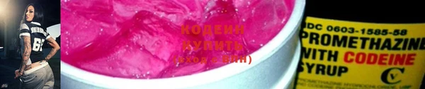 PSILOCYBIN Дмитриев