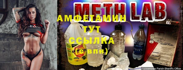 хмурый Дмитровск