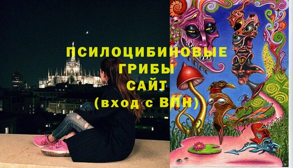 ешки Дмитров