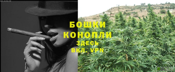 PSILOCYBIN Дмитриев