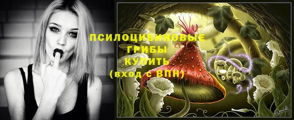 ешки Дмитров